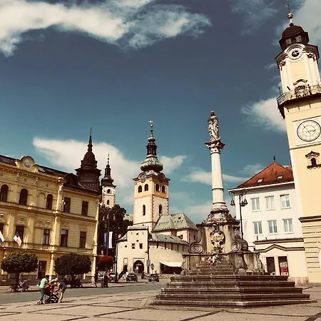 Apartmán Bl - The Executive Suite, Boru - 24hr Self Check-in, Free Private Parking, Balcony With Mountain View, 5 Minute Walk To Center *