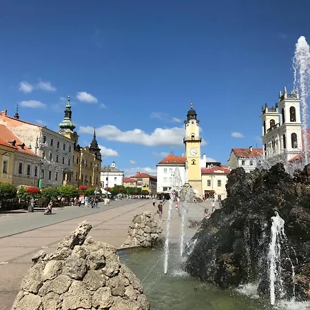 Bl - The Executive Suite, Boru - 24hr Self Check-in, Free Private Parking, Balcony With Mountain View, 5 Minute Walk To Center Banská Bystrica